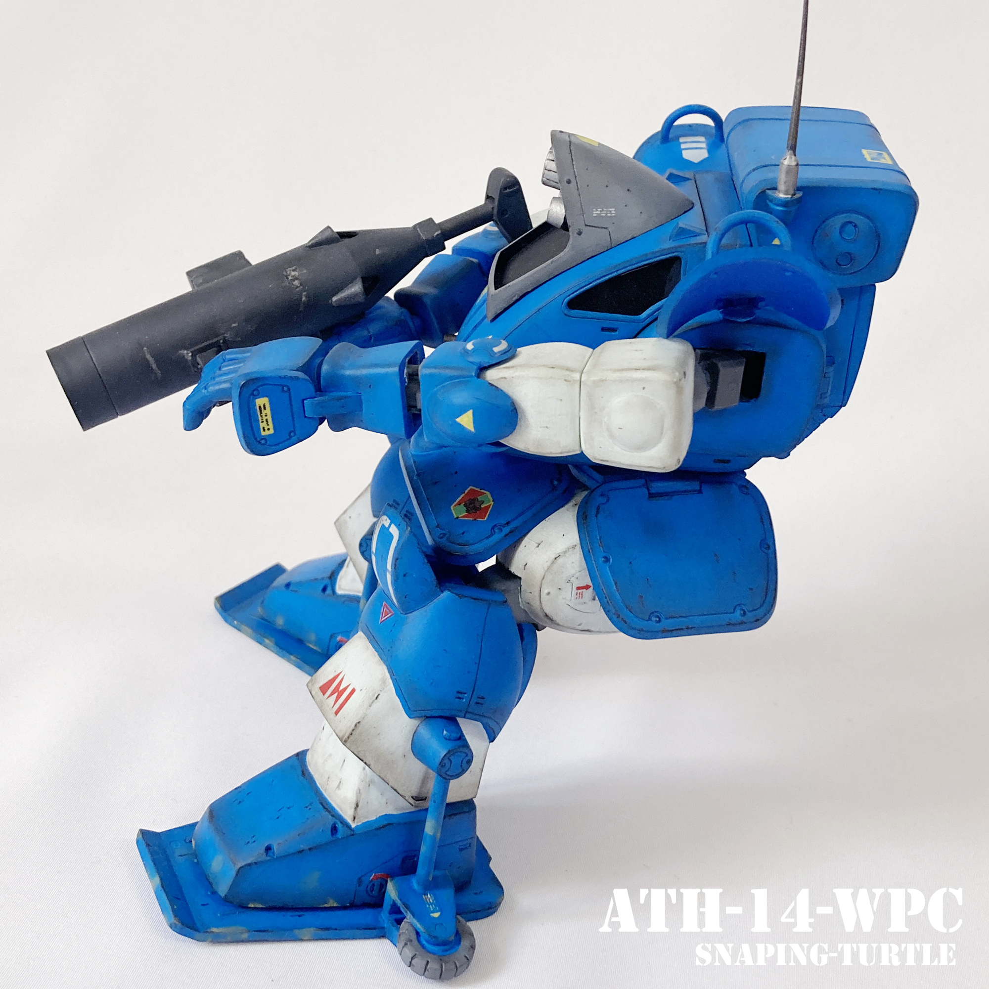stturtle15-1.jpg